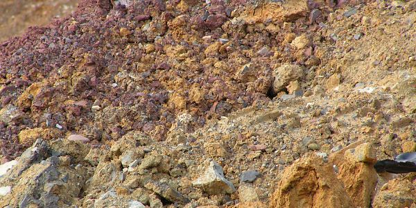 Soils